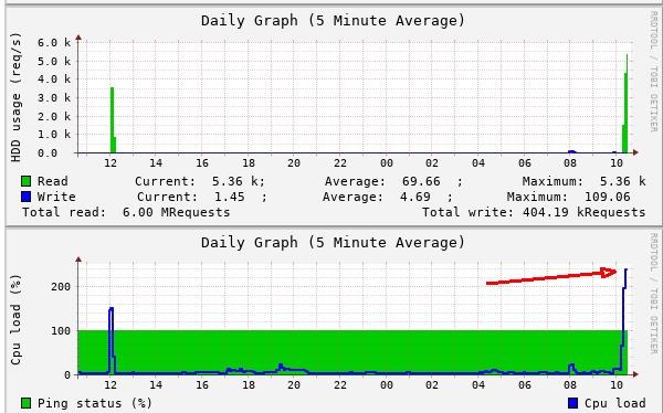 Фото или кадр гостя